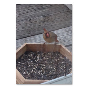 Verbs 食べ物Robin Bird's Flashcardに読着席 テーブルナンバー