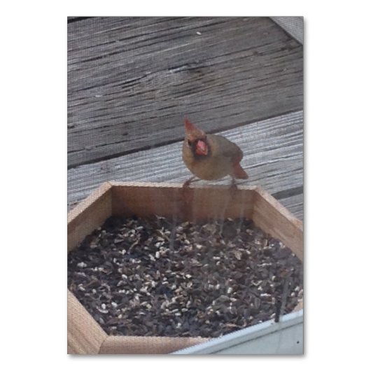 Verbs 食べ物Robin Bird's Flashcardに読着席 テーブルナンバー (正面)