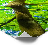 Verdant Canopy of Karuizawa ポスター (角)