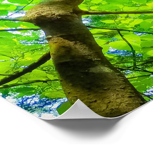 Verdant Canopy of Karuizawa ポスター (角)