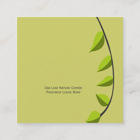 Verdeの緑の草木は緑の葉の植物の植物を撃ちます スクエア名刺 (裏面)