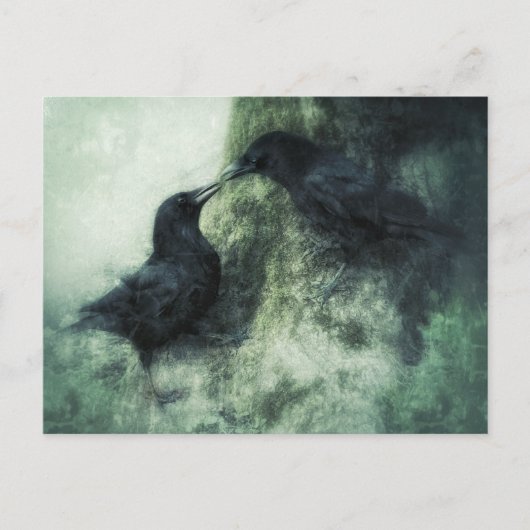 Verliebte Krähen Raben Vögel  ポストカード (正面)