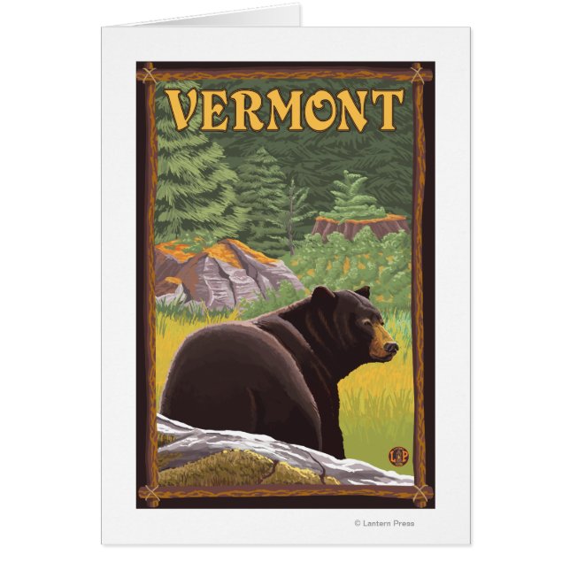 VermontBlack Bear in Forest (正面)
