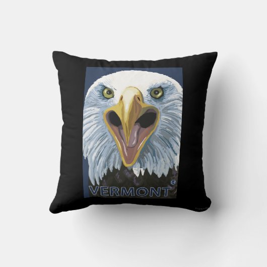 VermontEagleの終わり クッション (裏面)