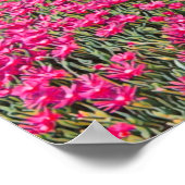 VERNAZZA  - Cinque Terre - panorama - Liguria - ポスター (角)