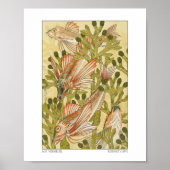 Verneuil Rouget Value Poster Paper (Semi-Gloss) ポスター (正面)