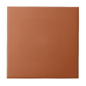 Versatile Burnt Orange Ceramic Tile for Decorative タイル (正面)