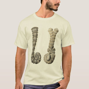 Vertebralina Tシャツ