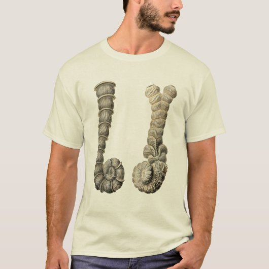 Vertebralina Tシャツ (正面)