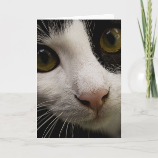 Vertical Greeting Card: Mickey the Cat カード (正面)