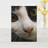 Vertical Greeting Card: Mickey the Cat カード (黄色い花)
