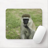 Vervet monkey 食べ's,アフリカ マウスパッド (マウス)