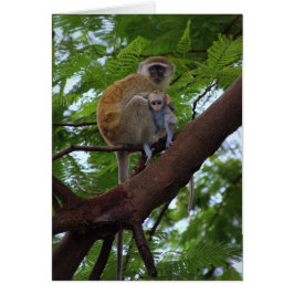 Vervet Monkey Mother and Child Card