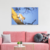 Vervet monkey on tree branch, Serengeti キャンバスプリント (インサイチュ (リビング))