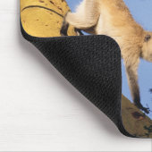 Vervet monkey on tree branch, Serengeti マウスパッド (コーナー)