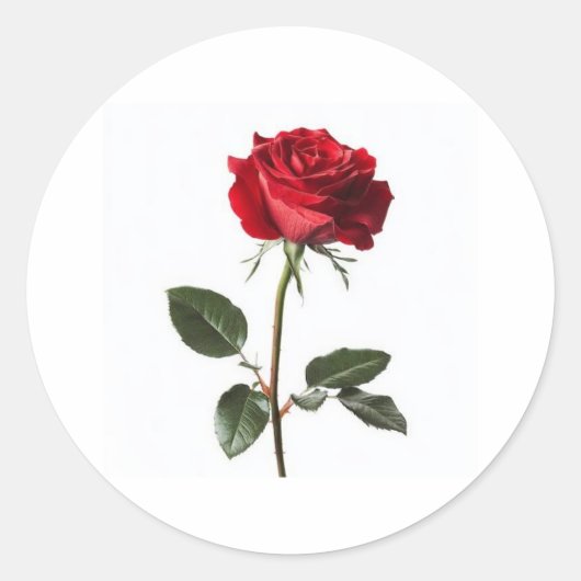 Very beautiful, 👍 nice design  ラウンドシール (正面)