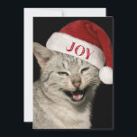 Very Santa おもしろい Cat Laugh Photo Christmas シーズンカード<br><div class="desc">サンタ猫クリスマスカードでおもしろいスピリッツを輝かせろ！サンタの猫は、ホリデーシーズン中に誰の顔にもスマイルを持って来るに違いない。あなたはペット好きでも猫好きでも、喜びや笑いを広める楽しい方法だ。</div>