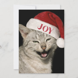Very Santa おもしろい Cat Laugh Photo Christmas シーズンカード