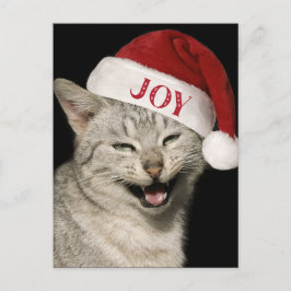 Very Santa おもしろい Cat Laugh Photo Christmas シーズンポストカード