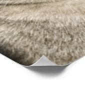 Very Santa おもしろい Cat Laugh Photo Christmas ポスター (角)