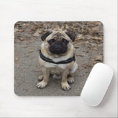 Very Serious Pug マウスパッド (マウス)