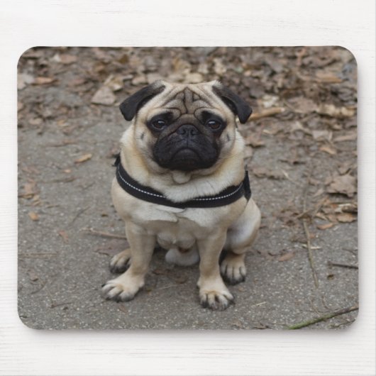 Very Serious Pug マウスパッド (正面)