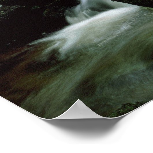 Very Special Woodland Stream Poster. ポスター (角)