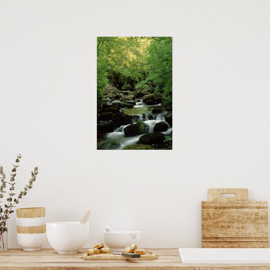 Very Special Woodland Stream Poster. ポスター (キッチン)