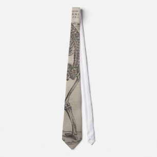 VesaliusのFabrica ネクタイ