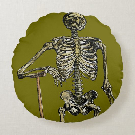 Vesalius: 骨格システム ラウンドクッション (正面)