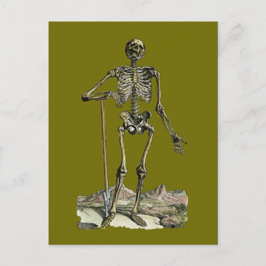 Vesalius:骨格系 ポストカード (正面)