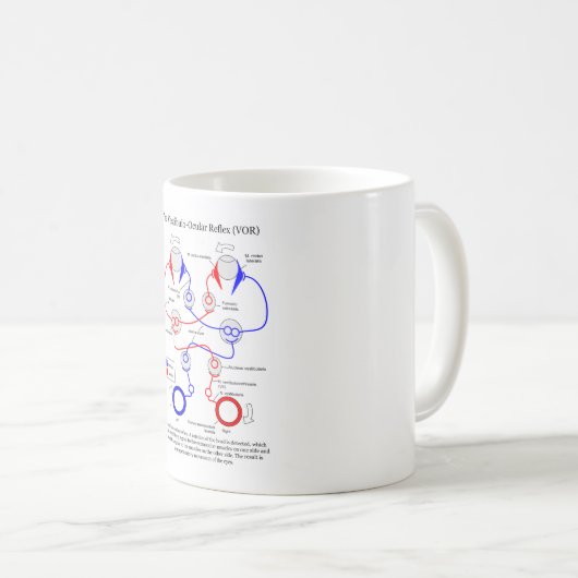 Vestibuloの目の反射VORの目動きは安定します コーヒーマグカップ (正面右)