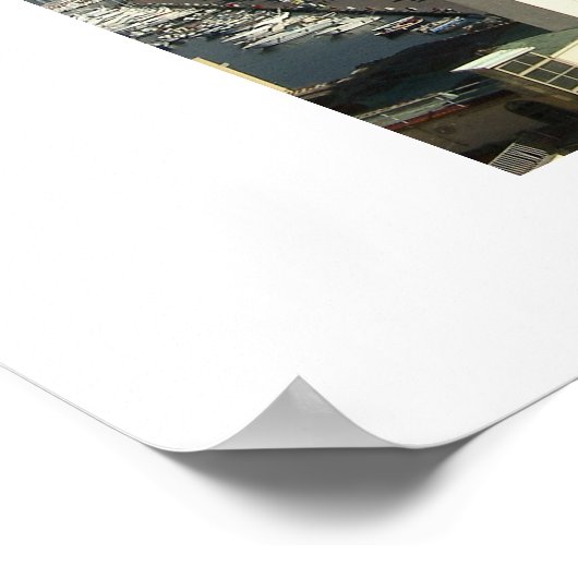 Vesuvio and Bay of Naples view ポスター (角)