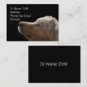 Vet名刺II 名刺 (正面/裏面)