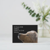 Vet名刺II 名刺 (スタンド正面)