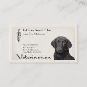 Veterinarian Clinic Animal Hospital Business Card 名刺 (正面)