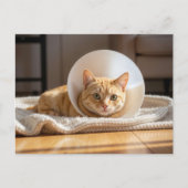Veterinarian Ginger Cat Wearing a Cone of Shame ポストカード (正面)