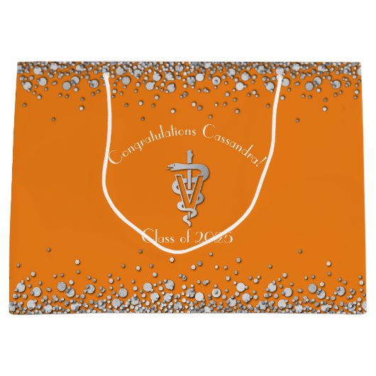 Veterinarian Graduation Orange Silver ラージペーパーバッグ (正面)