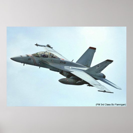 VFA-102 ポスター (正面)