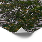 VH-92Aパトリオットマリンワン ポスター (角)