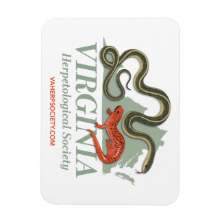 VHSロゴマグネット マグネット