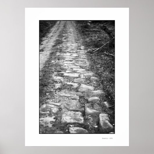 VIA ROMANAポスター ポスター (正面)