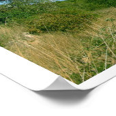 viaductの表示、2004年12月に完了(p) ポスター (角)