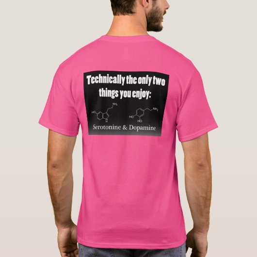 "Vibeと崩壊の間" ステッカー Tシャツ (裏面)