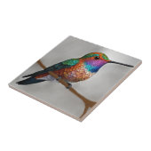 Vibrant Allen’s Hummingbird Painting タイル (側面)