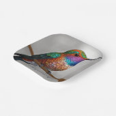 Vibrant Allen’s Hummingbird Painting ペーパープレート (傾斜あり)
