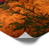 Vibrant Blossom Tree Garden Paradise View ポスター (角)