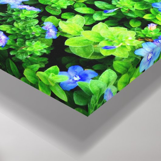 Vibrant blue flowers  キャンバスプリント (コーナー (底面))