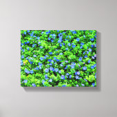 Vibrant blue flowers  キャンバスプリント (正面)