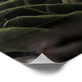 Vibrant Chromatic Lily - Fine Art Botanical ポスター (角)